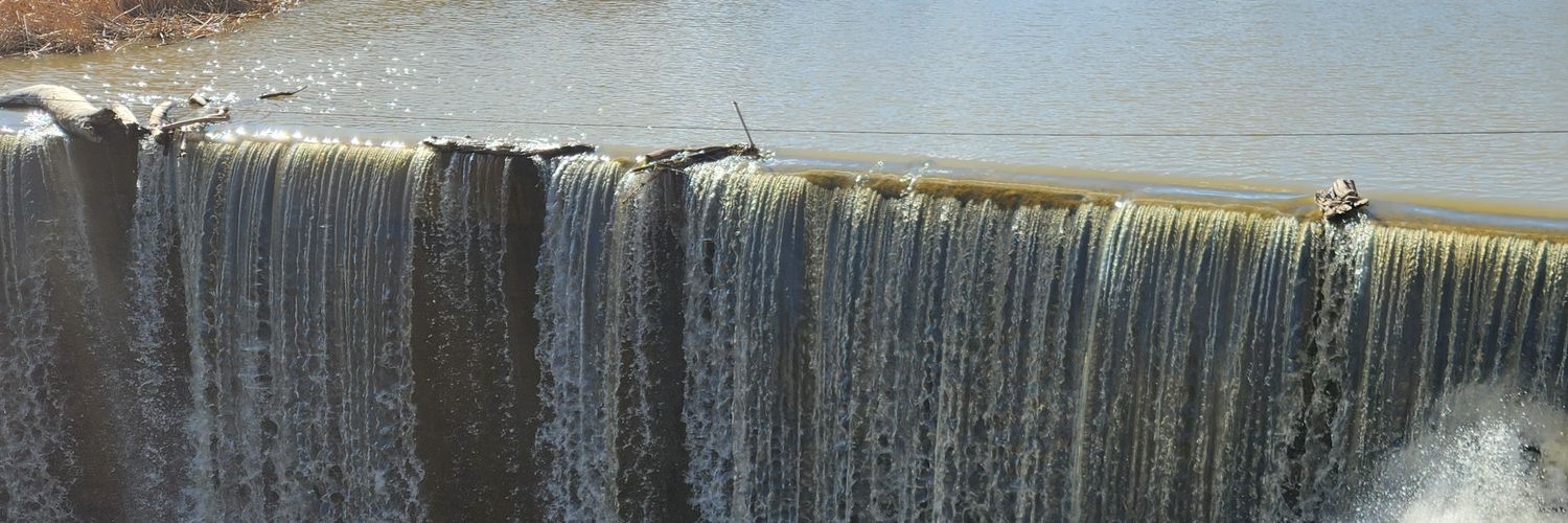 Shandel Roberts banner