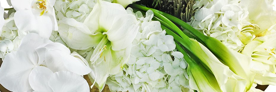 oshiflowers's profile banner image