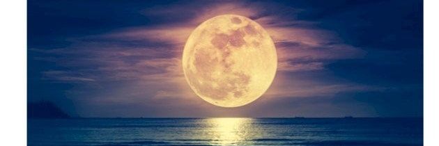 binnasserr1's profile banner image