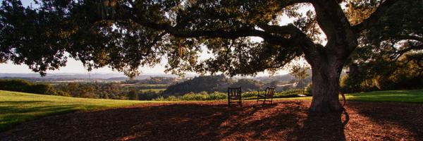 fdiner Profile Banner