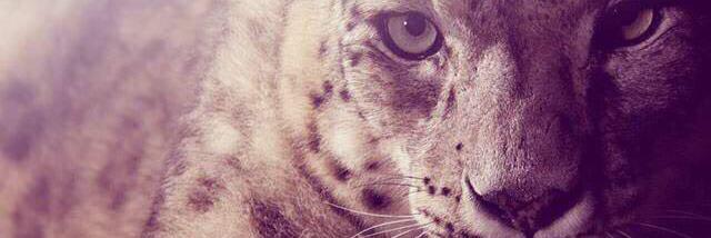 j__kmtk__'s profile banner image