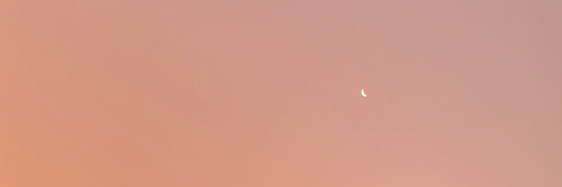 idcspnn's profile banner image