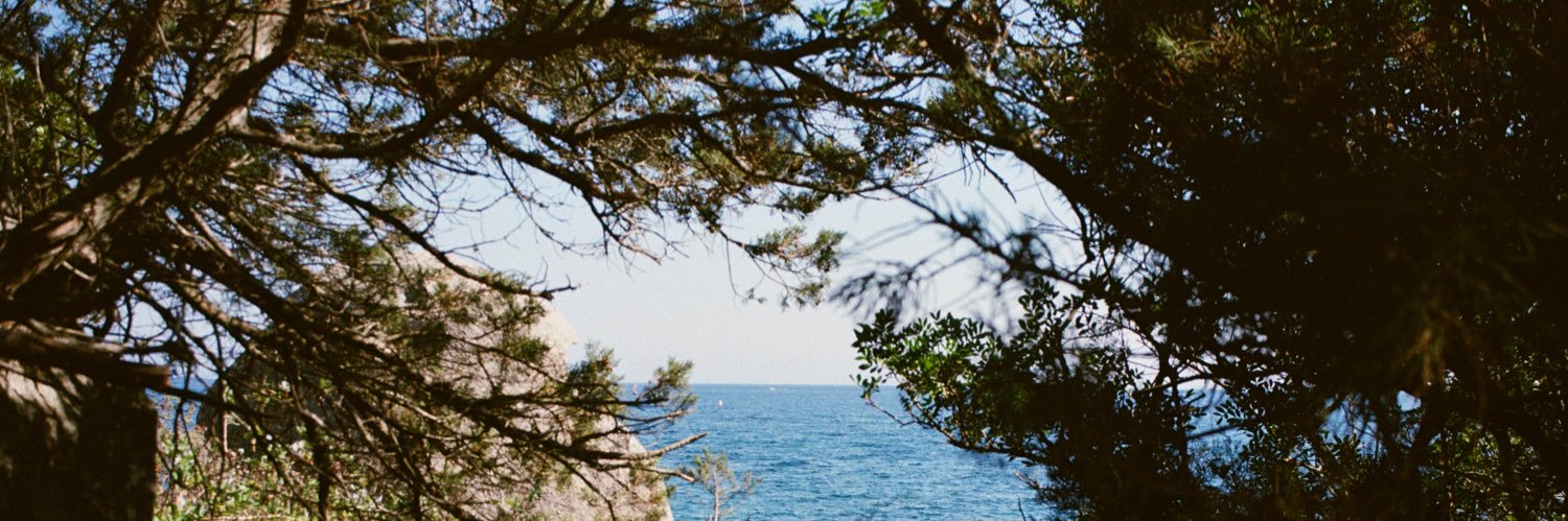 margaux_trn's profile banner image