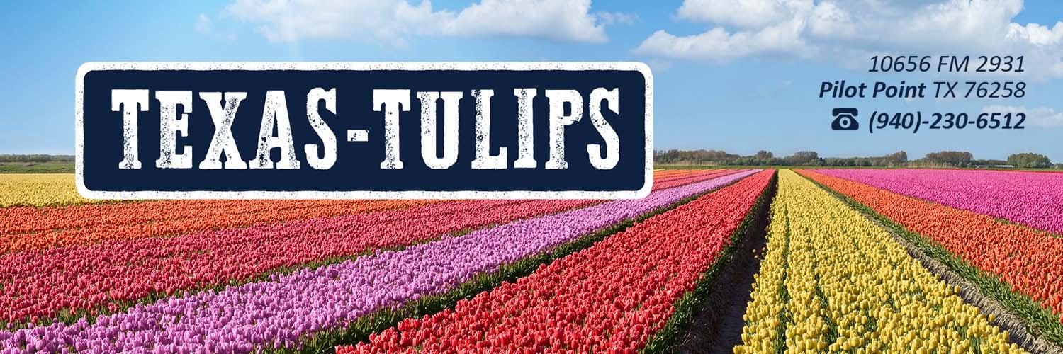 Texas-Tulips banner