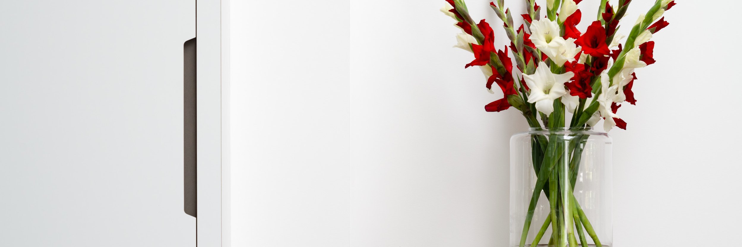powellpicano's profile banner image