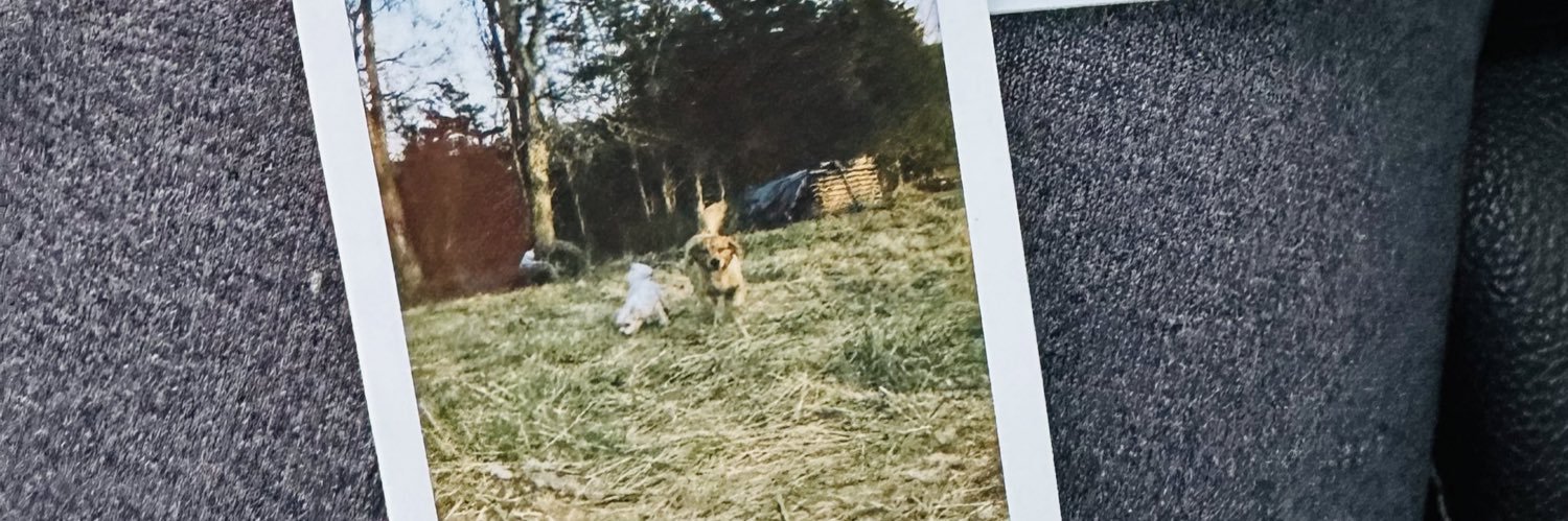 EmmaFuckinNorth's profile banner image