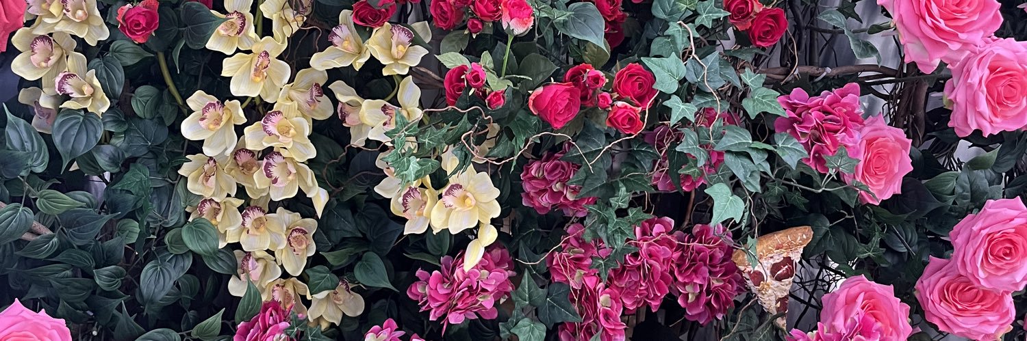 bellavolfson's profile banner image