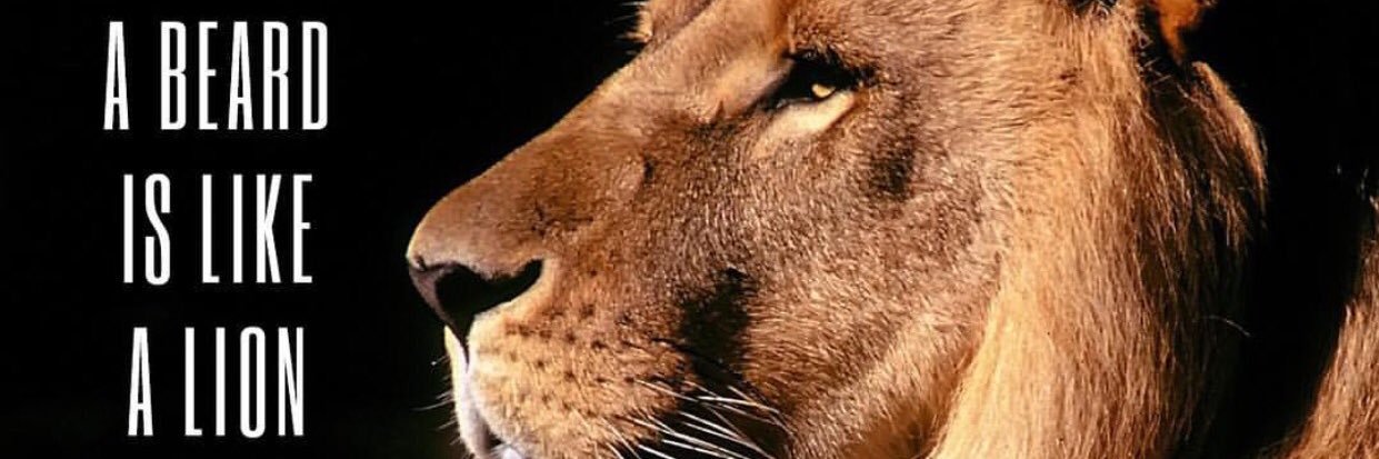 Szezeska's profile banner image