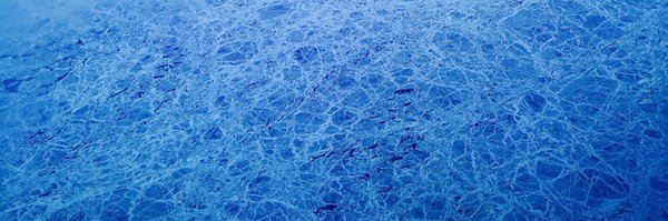 CharlieJones Profile Banner