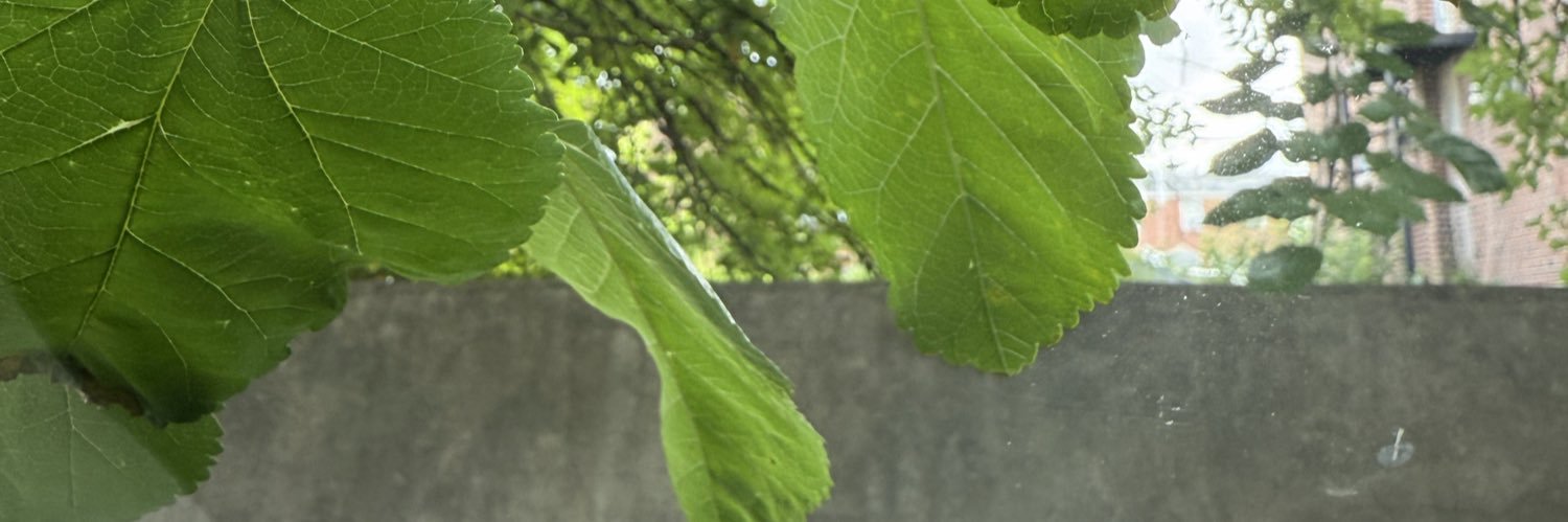 notbadd_'s profile banner image