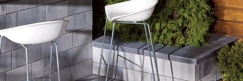 Bergman Landscape banner