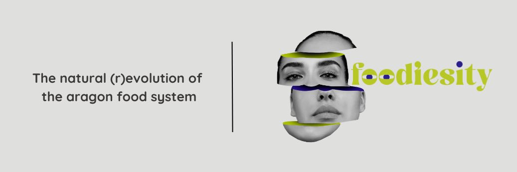 Cluster de Alimentación y Nutrición de Aragón banner