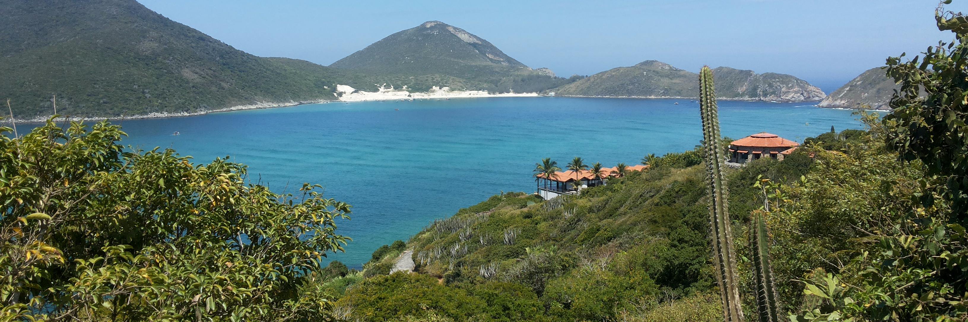 Tulius Dias Nery 😷🇧🇷🇫🇷🇵🇪🇹🇼🇦🇷🇨🇴🇯🇵 banner