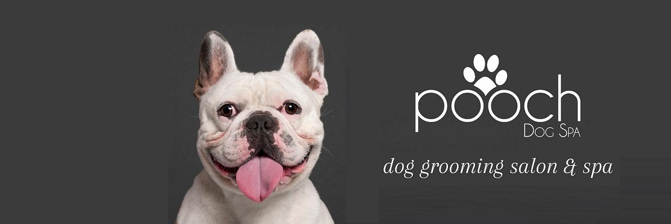 PoochDogSpa's profile banner image