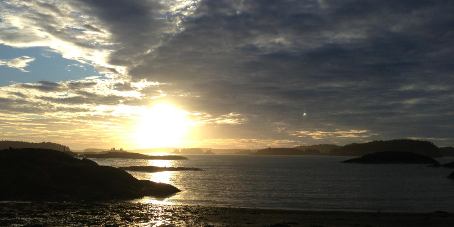 Sue Fitzy 🌻 💜 🇨🇦 ❤️‍🔥 banner