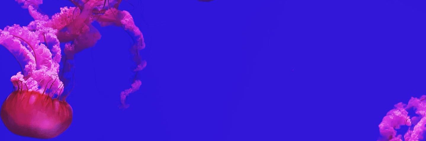 chranderson_45's profile banner image