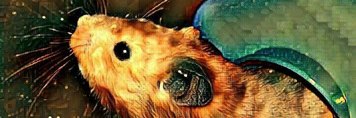 ChoccyHamster's profile banner image