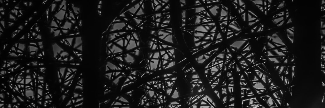 EricThomarat's profile banner image