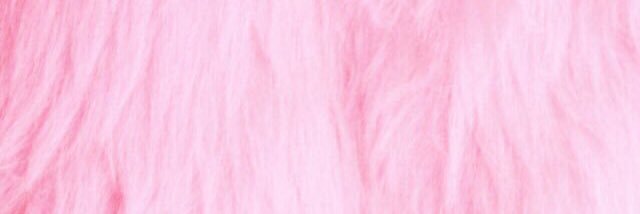 LaiaVM's profile banner image