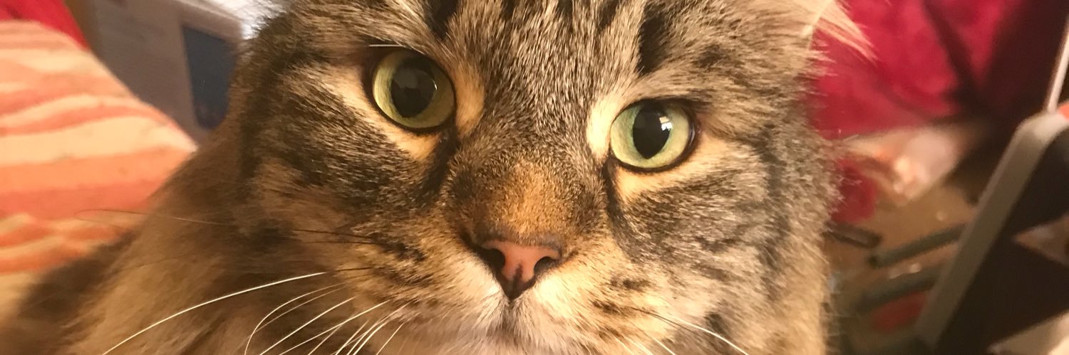 atarifari's profile banner image