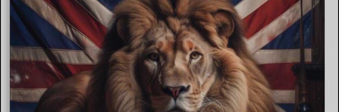 danisugar2's profile banner image
