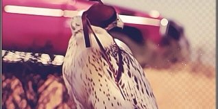 واشنطن banner