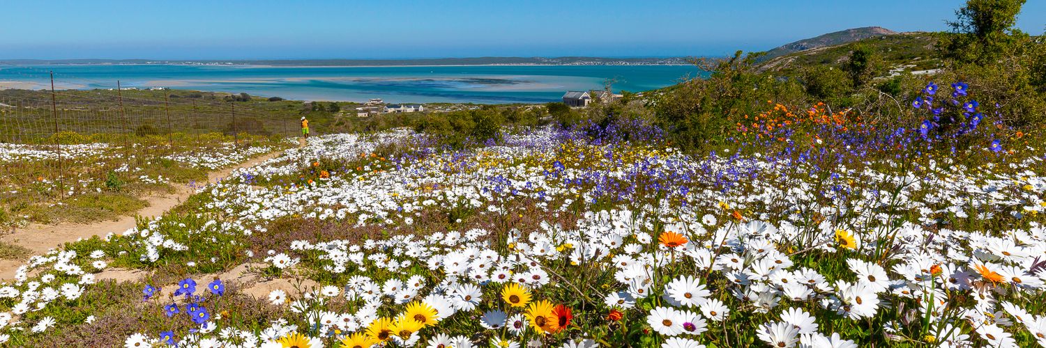 WestCoastWaySA's profile banner image
