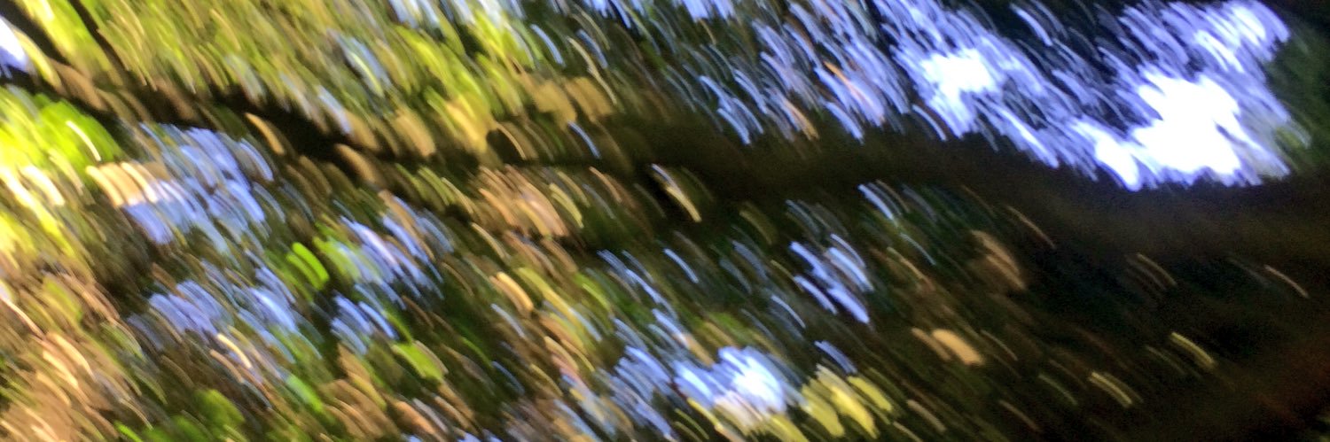 Mau_1605's profile banner image