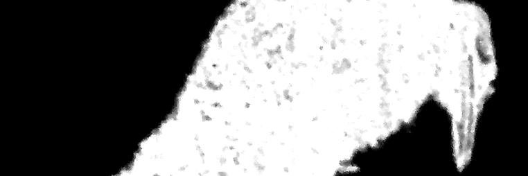 WhiteRaven_it's profile banner image