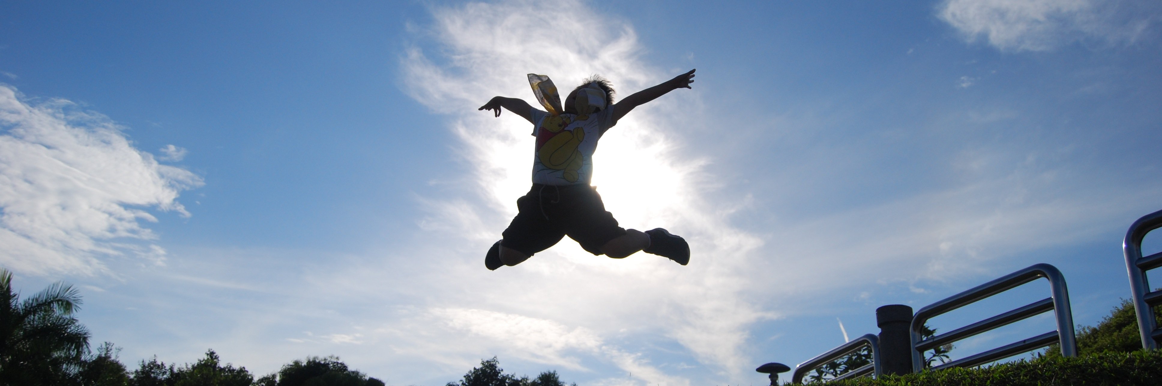 Vibrant Festival banner