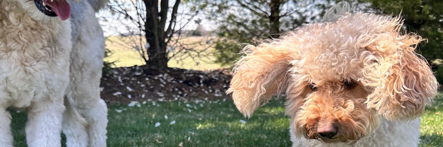 madbark33's profile banner image