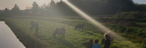 CyrilleRigolot Profile Banner