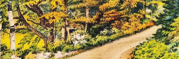 acebochi Profile Banner