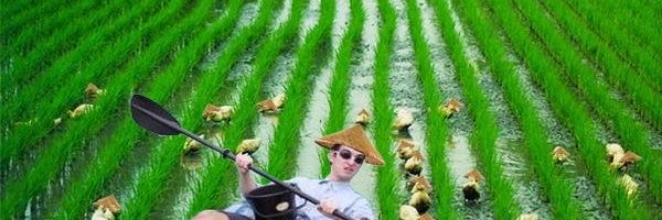 Figim_'s profile banner image
