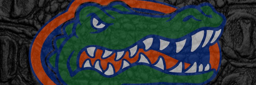 SwampKitten's profile banner image