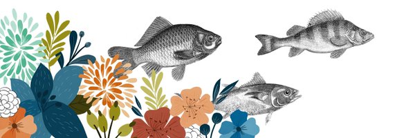 Wowtiful Profile Banner