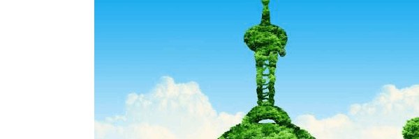 wanjuliane's profile banner image
