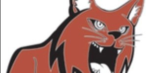 LynxxPower's profile banner image