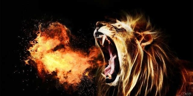 Naylor_JTT's profile banner image