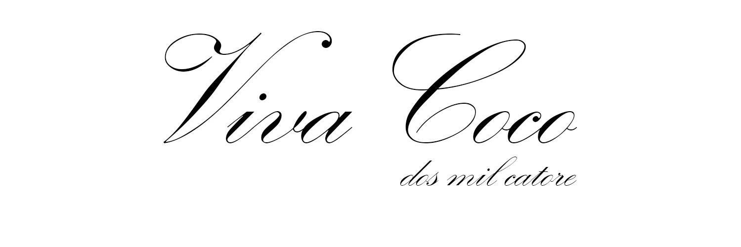 Viva__Coco's profile banner image