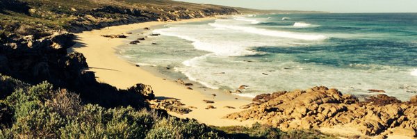 vctull Profile Banner