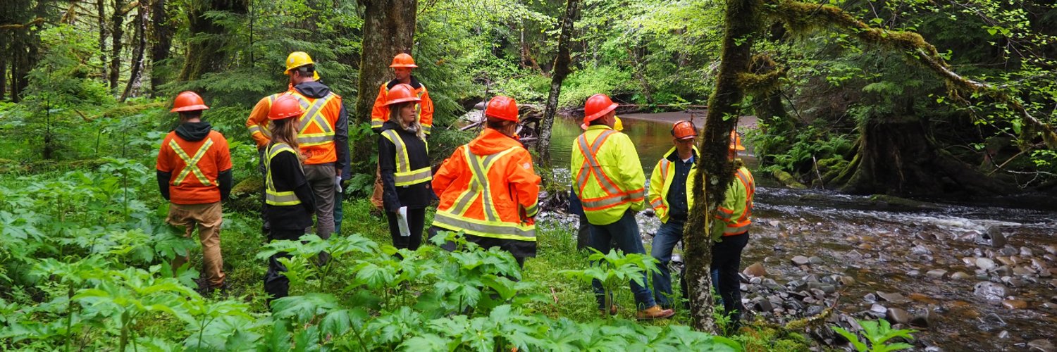 Forest Professionals BC banner