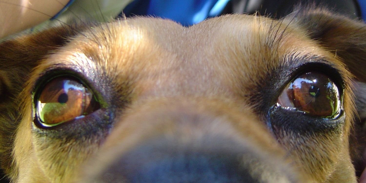 FabBorghetti's profile banner image