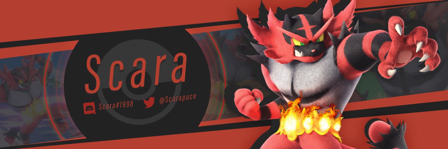 Scara banner