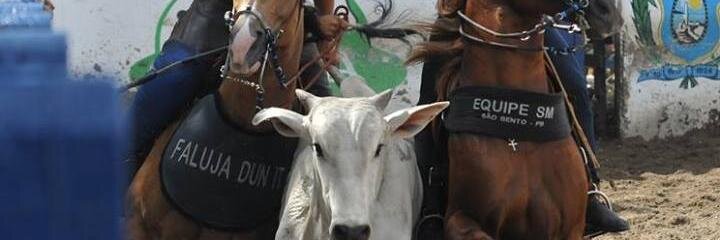 Jota_DozPerdido's profile banner image