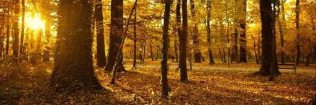 𝐶𝑙𝑎𝑢𝑑𝑖𝑎 𝐿𝑜𝑟𝑒𝑛𝑎 ✿ banner