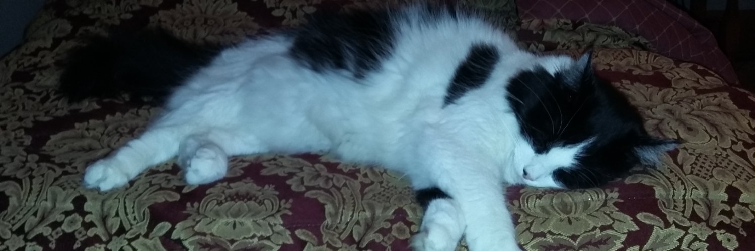 nickscats's profile banner image