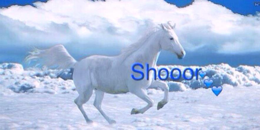 Shooor00's profile banner image