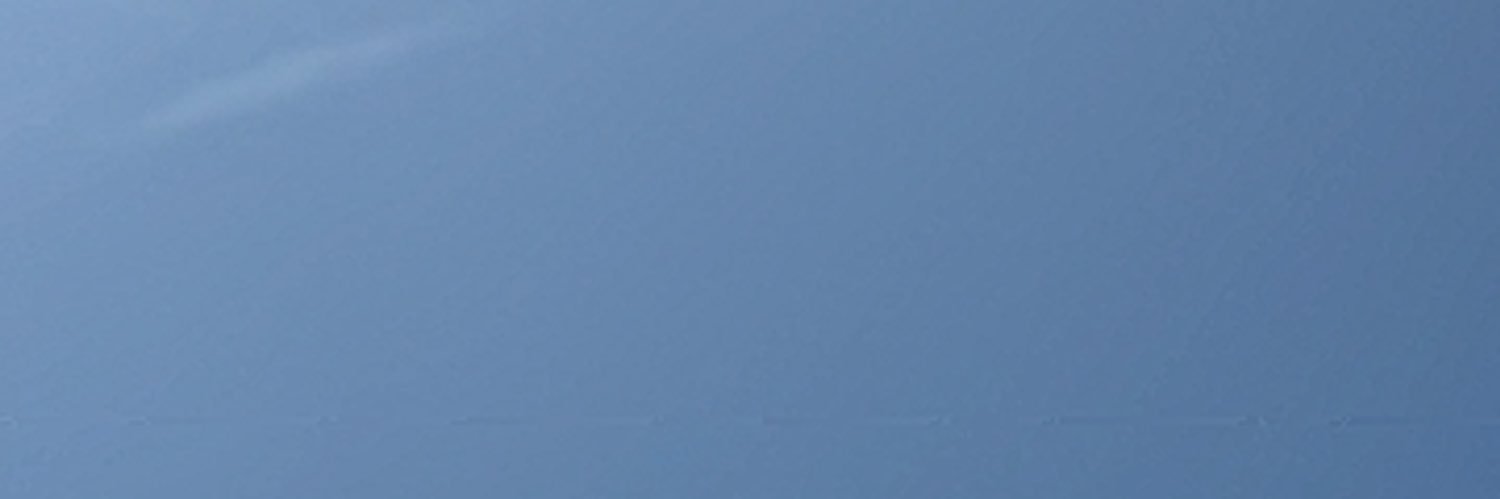 Stefan Schulz banner