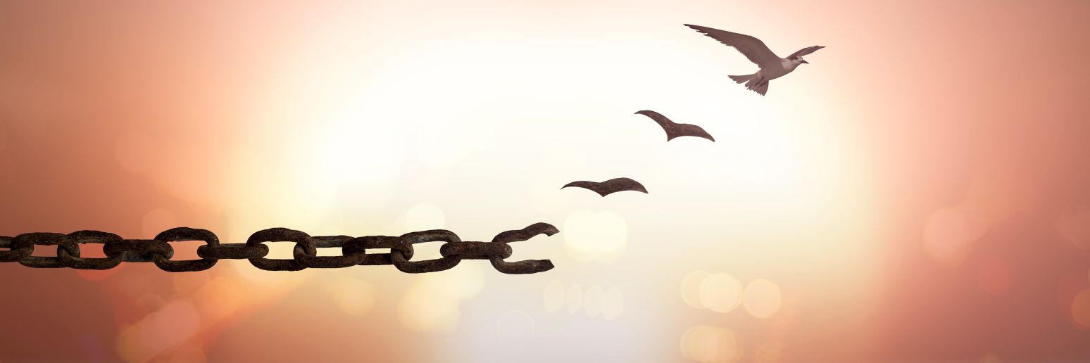 FJ banner